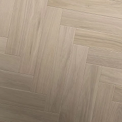 ДУБ БРИСБЕН